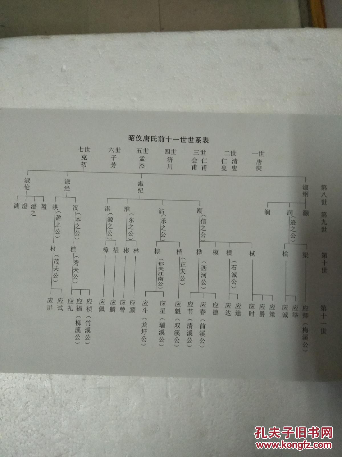 家谱------唐氏宗谱【一本堂】东鲁郡昭仪支 (念八公 讳奭) 横16开