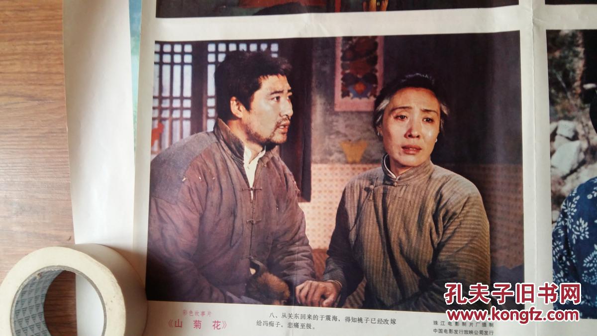 山菊花电影画倪萍主演
