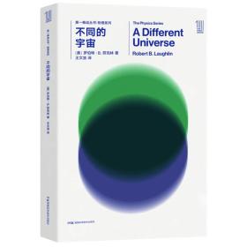 第一推动丛书 物理系列:不同的宇宙