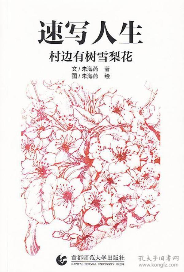 速写人生:村边有树雪梨花