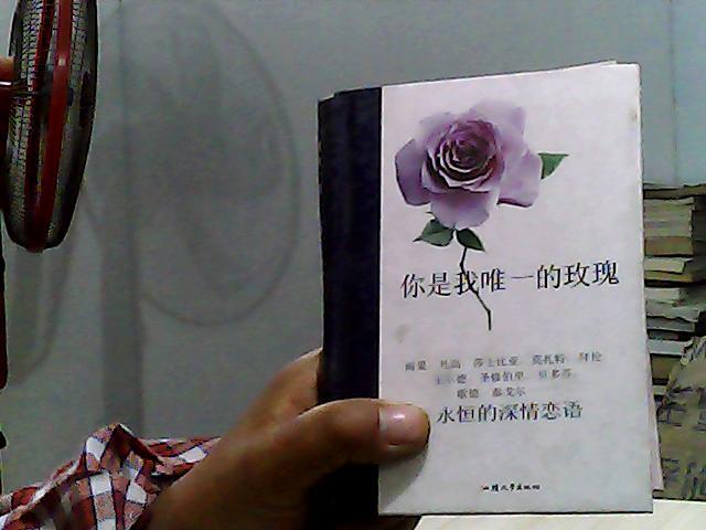 随身一册（珍藏本）10   你是我唯一的玫瑰