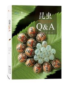 昆虫Q&A(自然观察丛书)