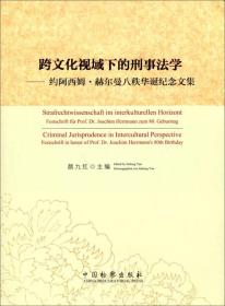 跨文化视域下的刑事法学：约阿西姆·赫尔曼八秩华诞纪念文集