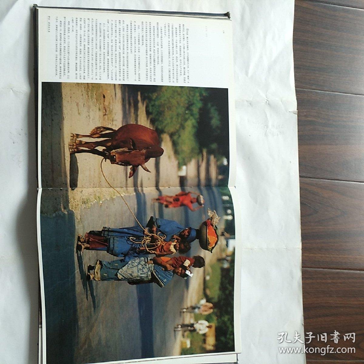 唐师曾一个人的远行 精装 彩版