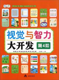 视觉与智力大开发:第4阶