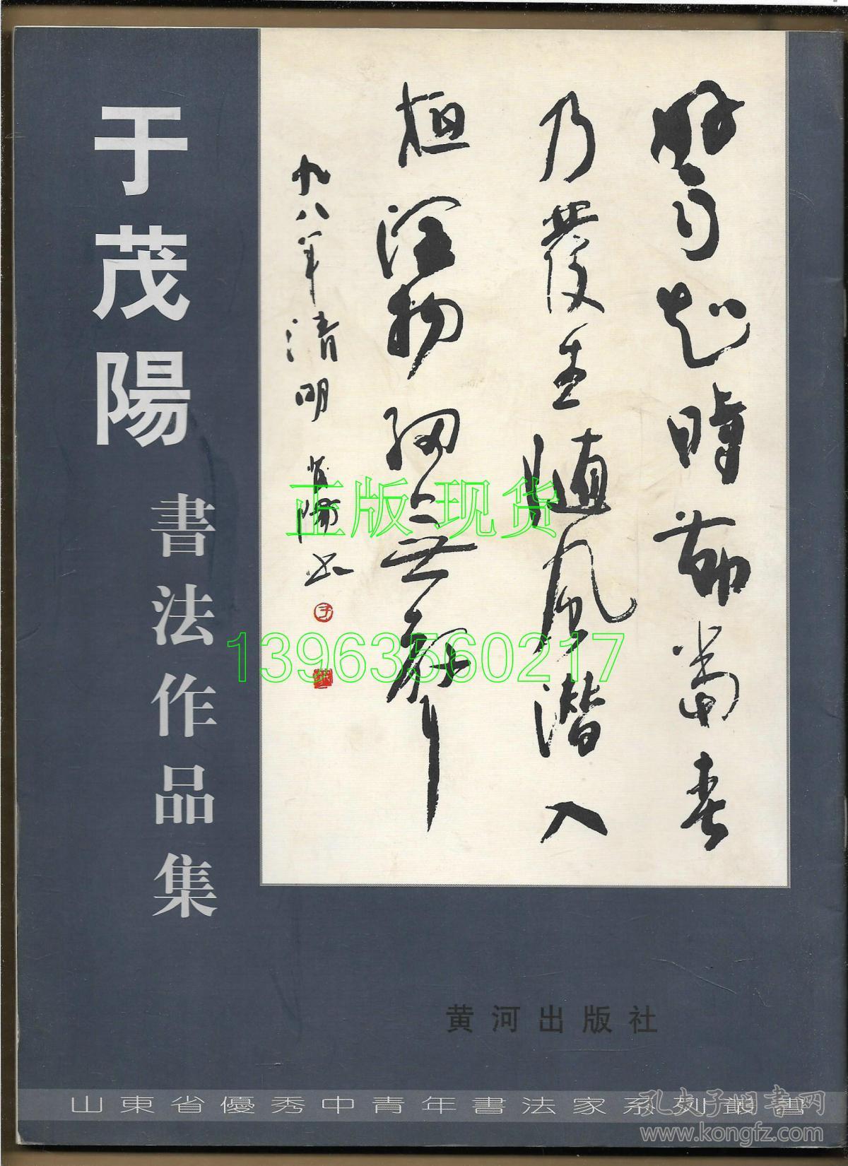 于茂阳书法作品集