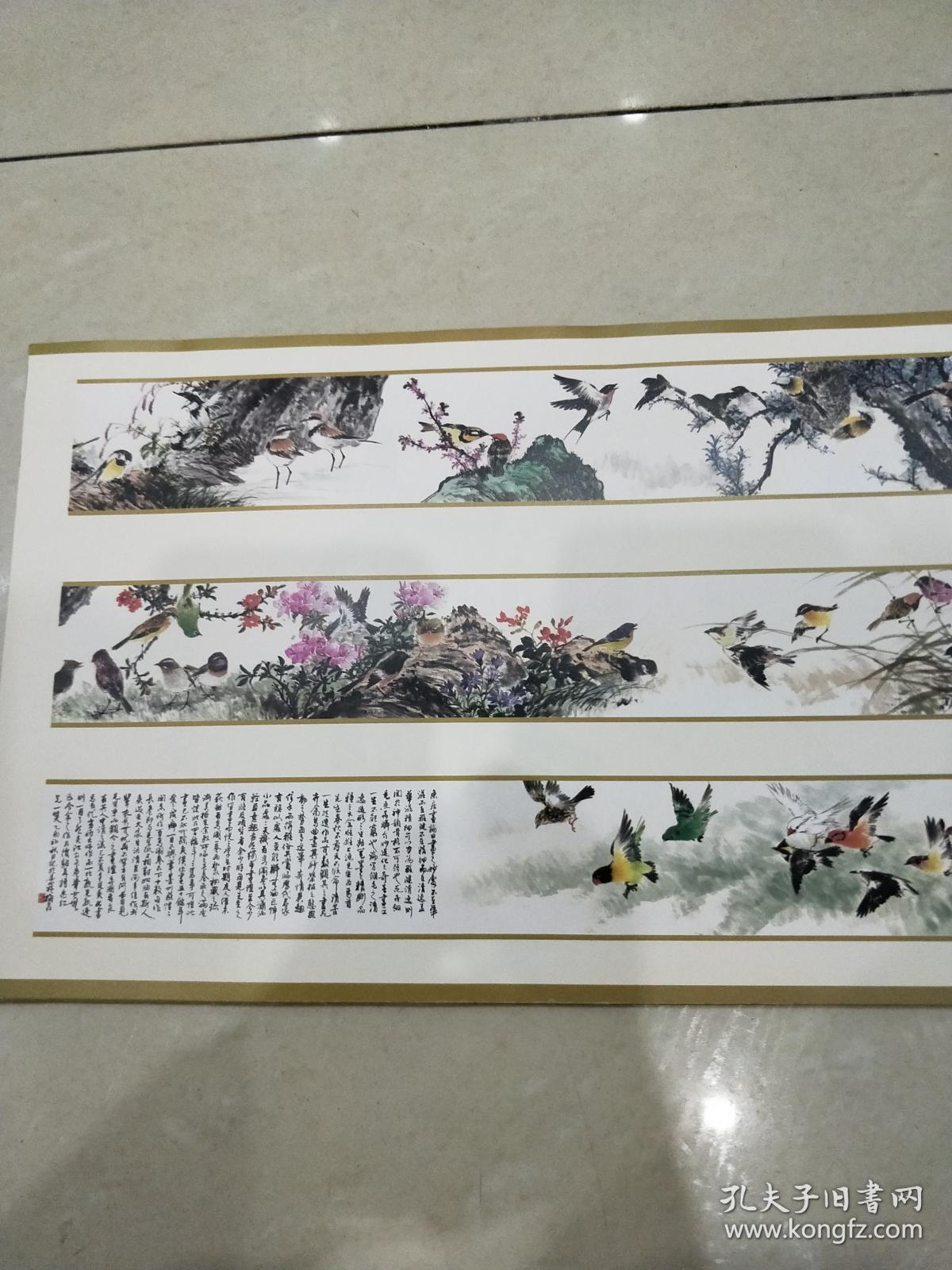 梅若百鸟图长卷
