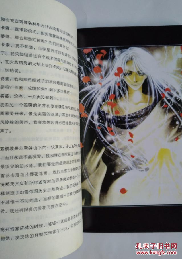 幻城小说新版郭敬明春风文艺20049第二版20059第6次印刷