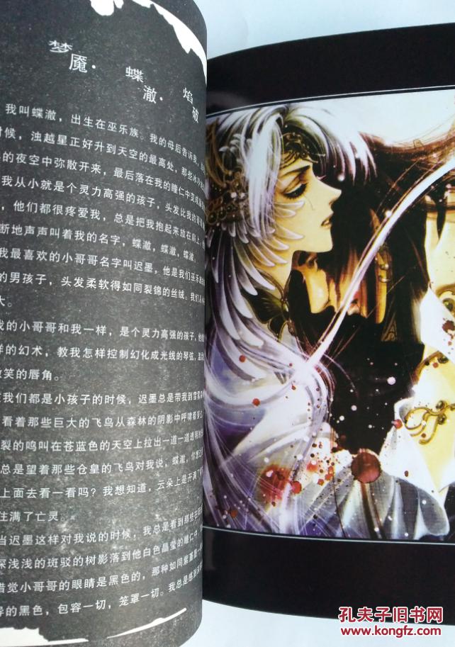 幻城小说新版郭敬明春风文艺20049第二版20059第6次印刷