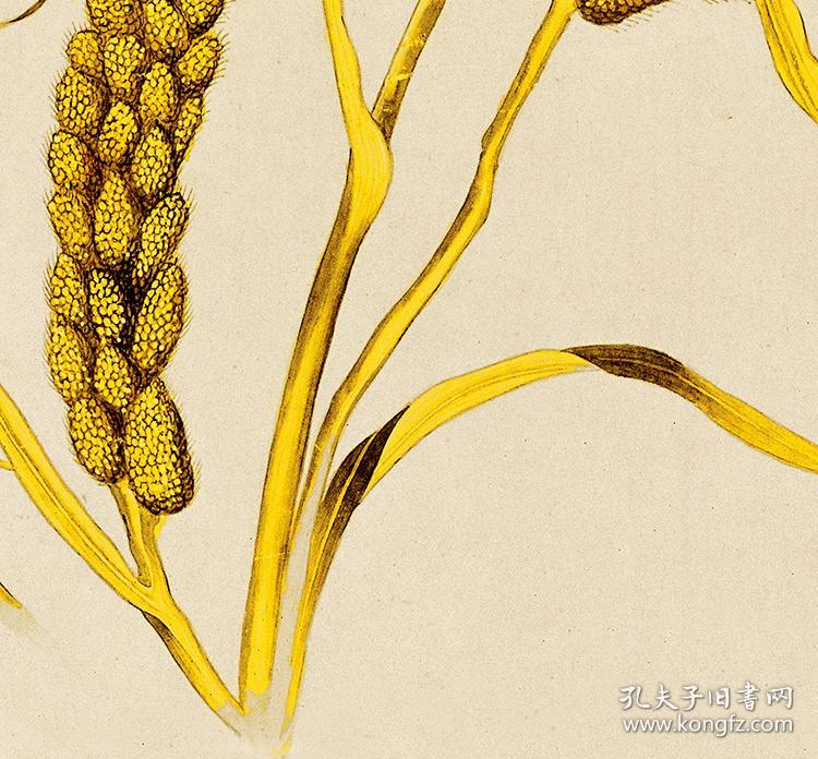 玄清郎世宁瑞谷图56x170cm绢本国画宣纸绢布艺术微喷画芯名画复制原作