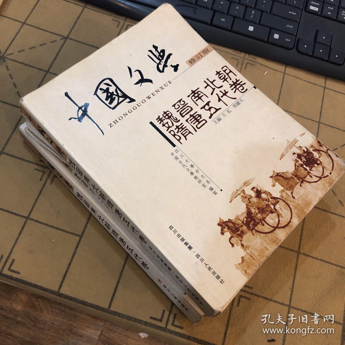 中国文学(修订版) 魏晋南北朝 隋唐五代卷