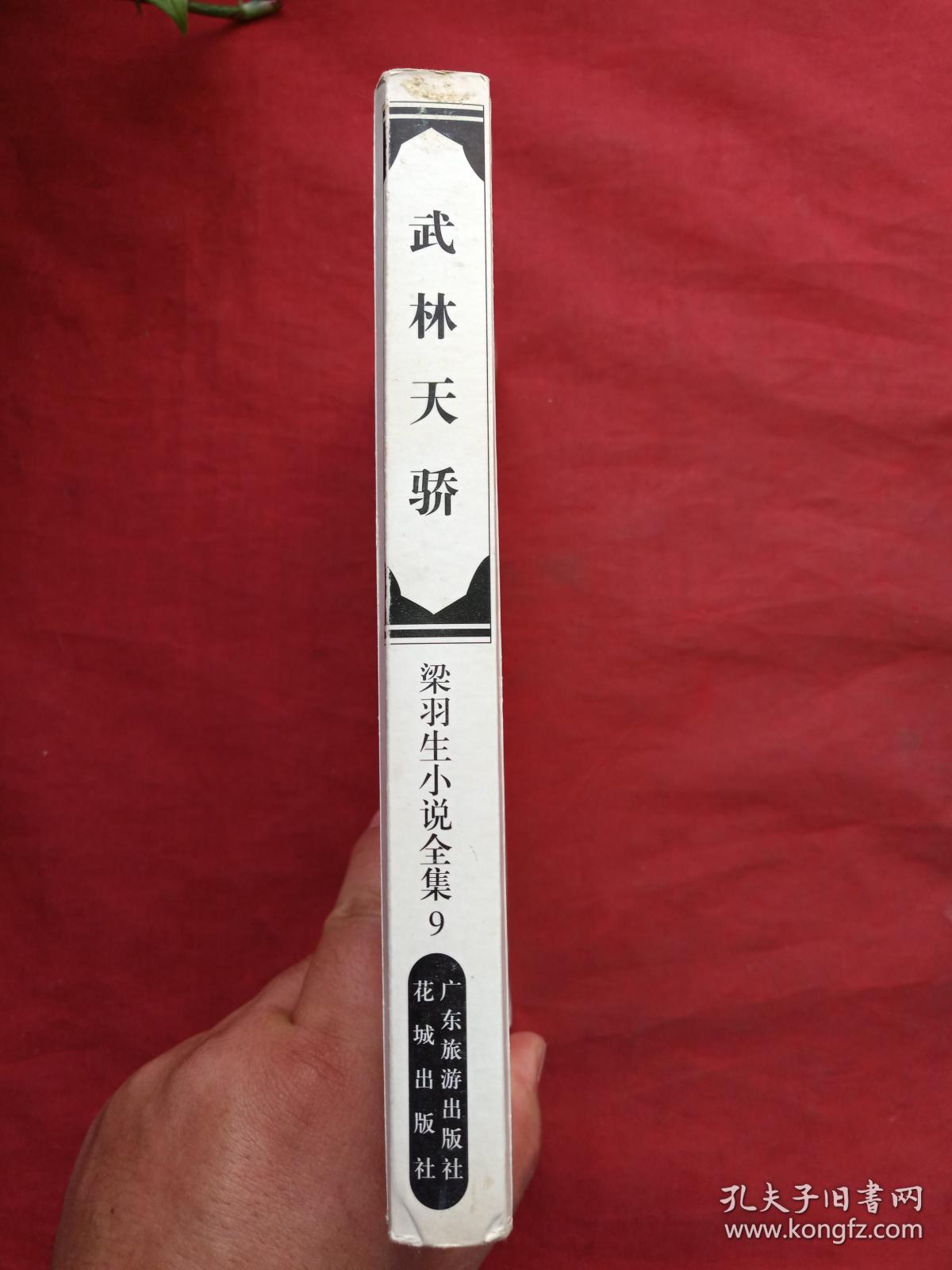 武林天骄全一册梁羽生著正版武侠小说广东旅游出版社花城出版社1996年