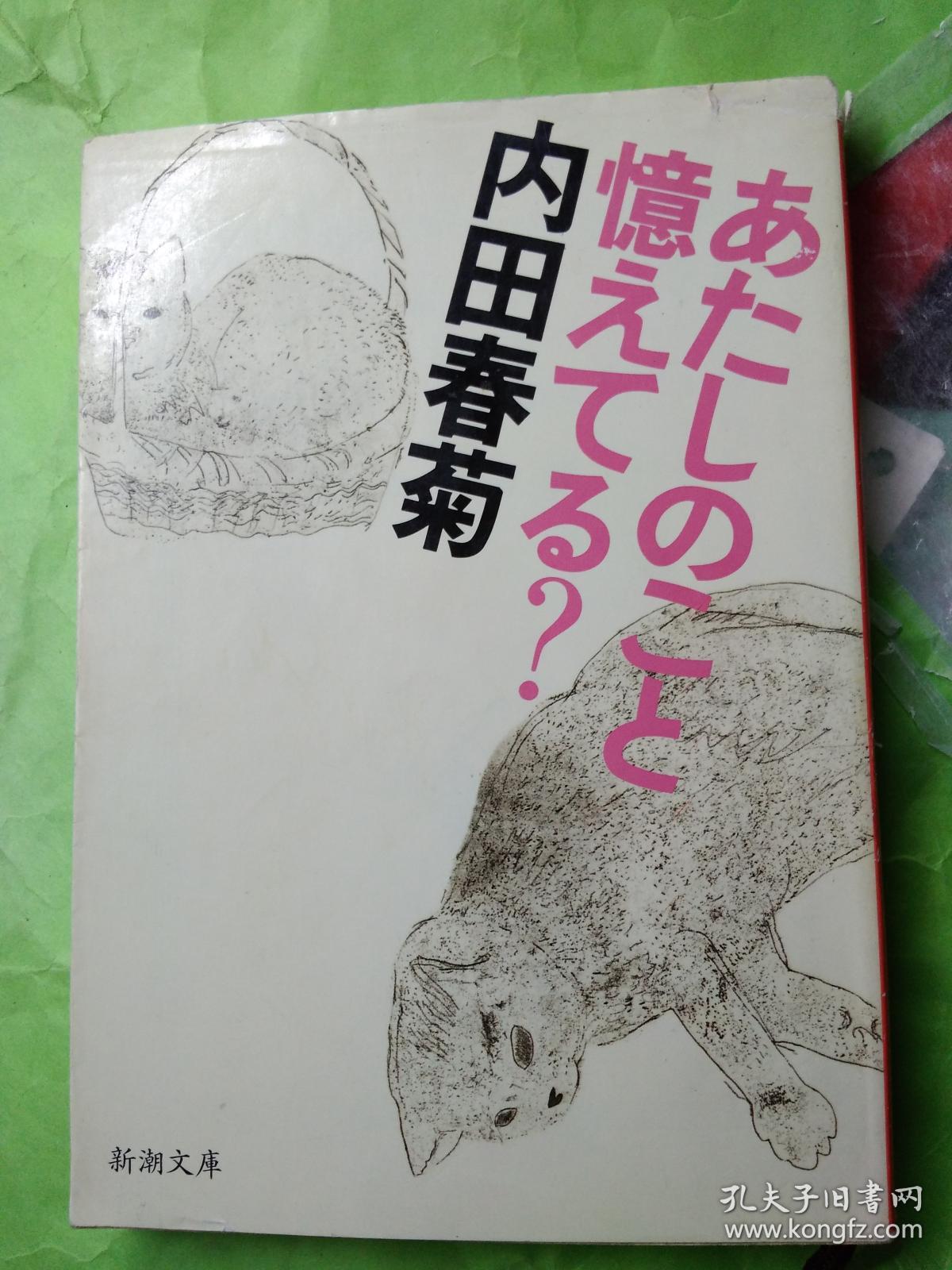 21春夏新色 教育してます 内田春菊 Www Stargroupindia Org