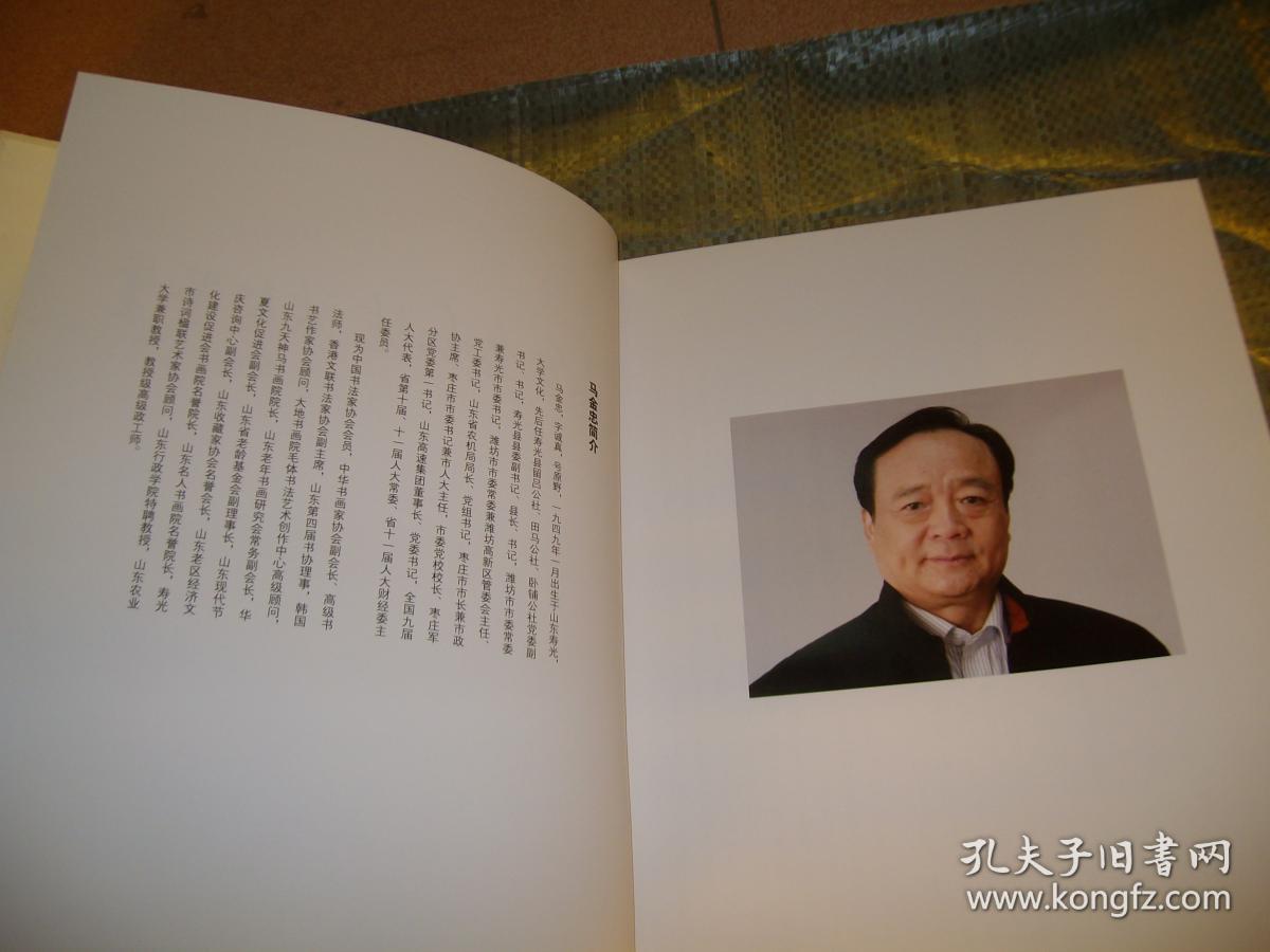 马金忠书法诗词鉴赏 8开精装