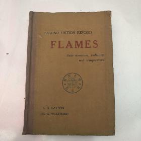 FLAMES their structure，radiation and temperature（H3133）