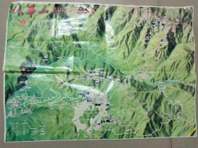 九华山旅游观光图   2002年