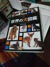 人气犬种べスト165   世界の犬图鉴【日文原版彩图版】