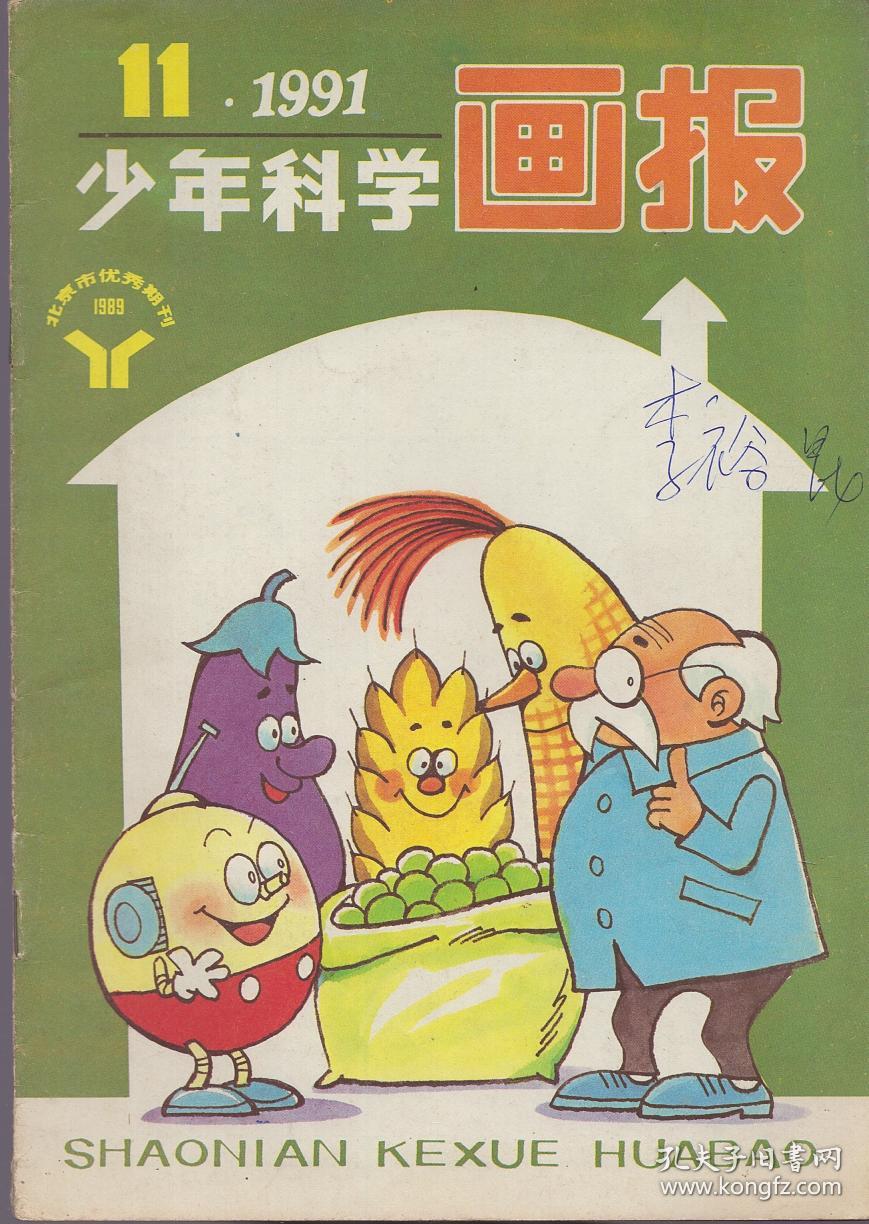 《少年科学画报》1991年第1~11期合售【缺期12期.品如图】