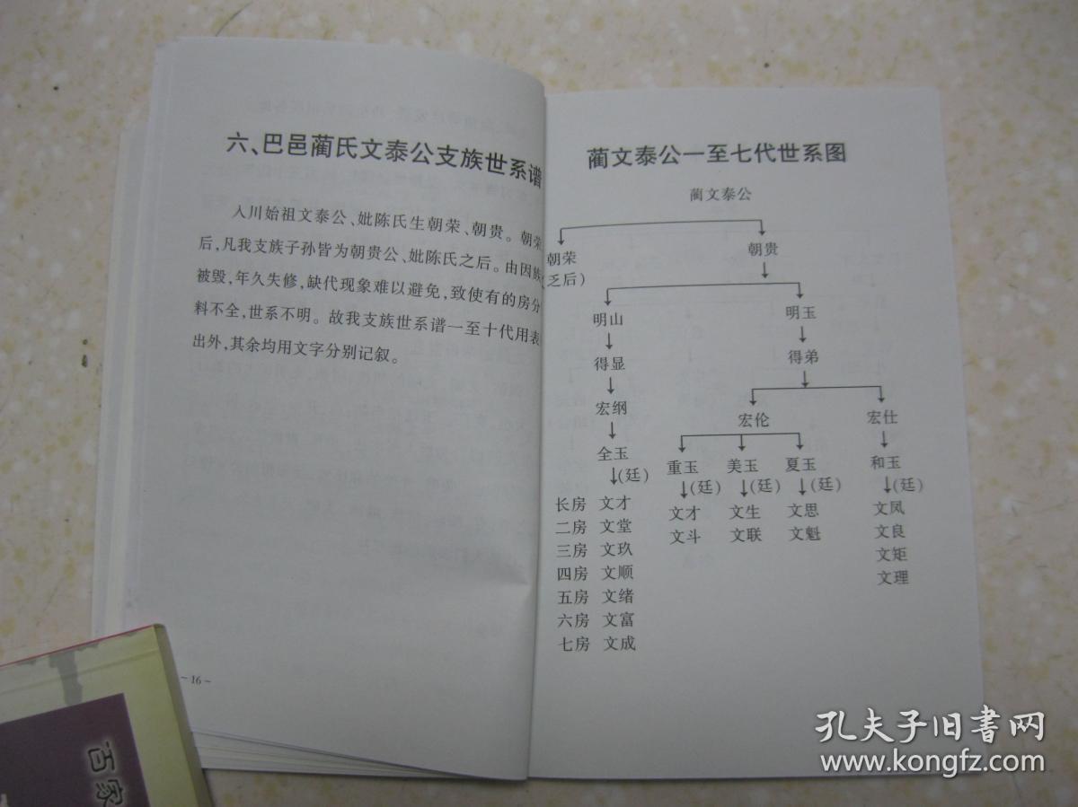 巴邑蔺氏文泰公支族谱蔺氏族谱重庆市巴县一带完璧