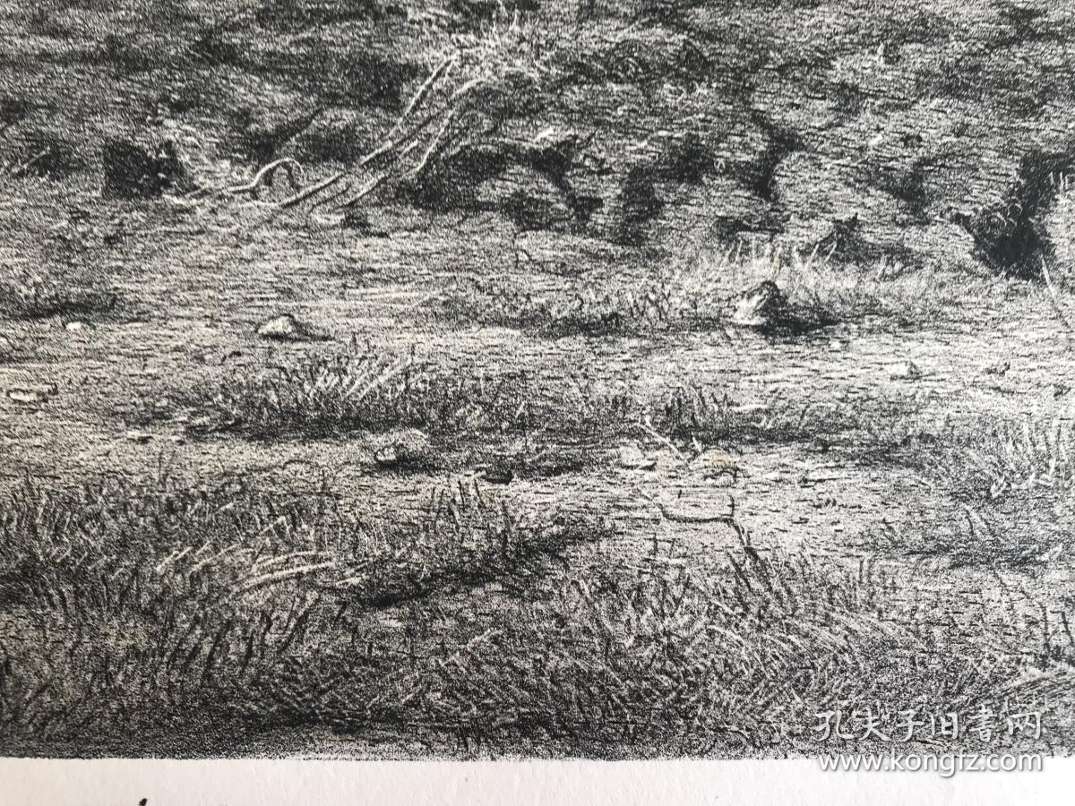 19世纪巨幅石版画纳韦尔人的耕作法国现实主义女画家罗莎博纳尔rosa