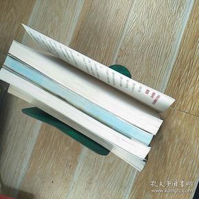 蔡智恒的4本书合售 雨衣,野玫瑰,爱尔兰咖啡,榭寄生