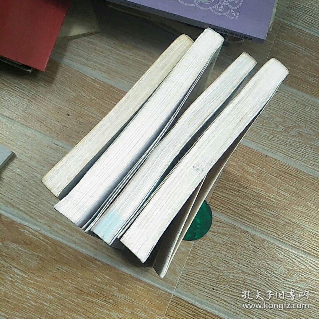 蔡智恒的4本书合售 雨衣,野玫瑰,爱尔兰咖啡,榭寄生