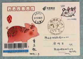 2019-1已亥年猪年生肖邮票枣庄首日实寄片（片图绘画及纪念戳设计者签名）m77