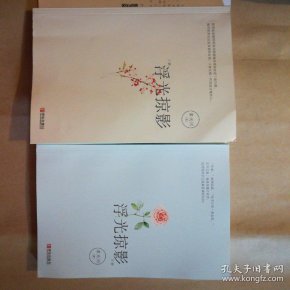 浮光掠影(上下)_素光同 著_孔夫子旧书网