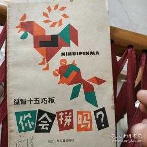 你会拼吗益智十五巧板