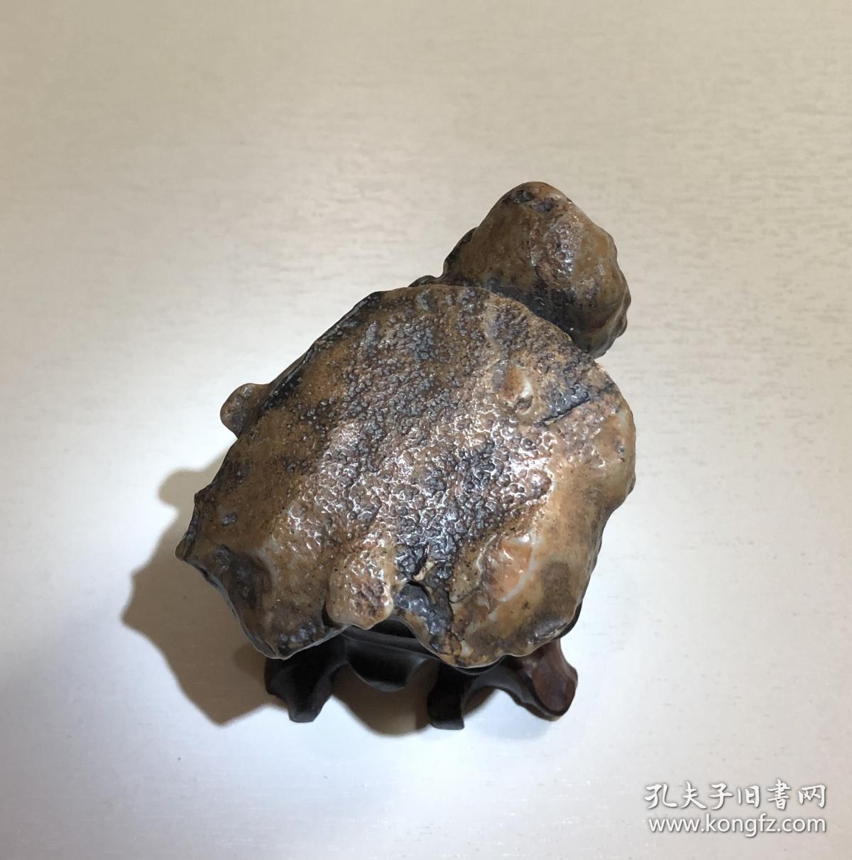 奇石龟老皮戈壁石观赏石造型石重130克