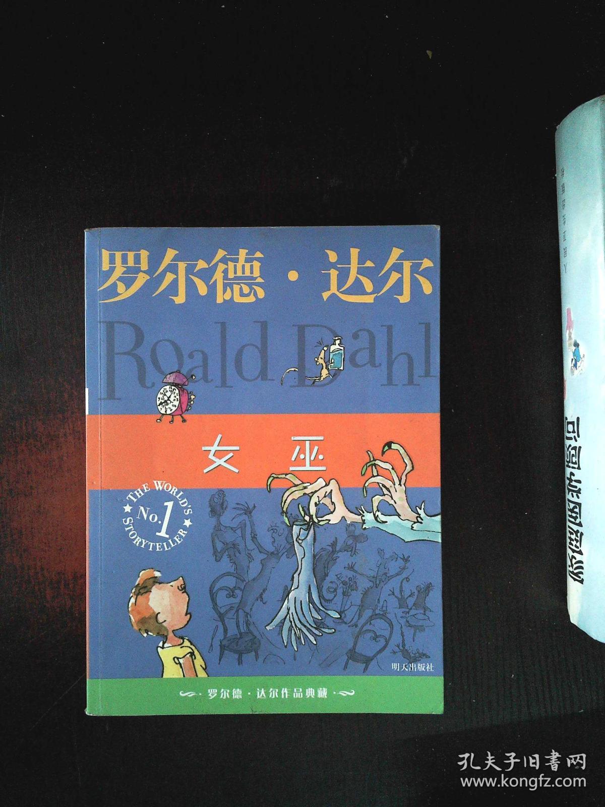 女巫(罗尔德达尔作品典藏) -/-/-*