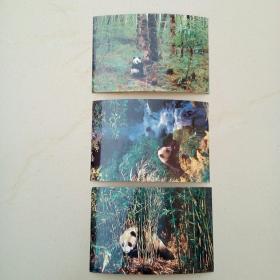 80年代3张国宝大熊猫明信片