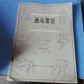 《画马常识》