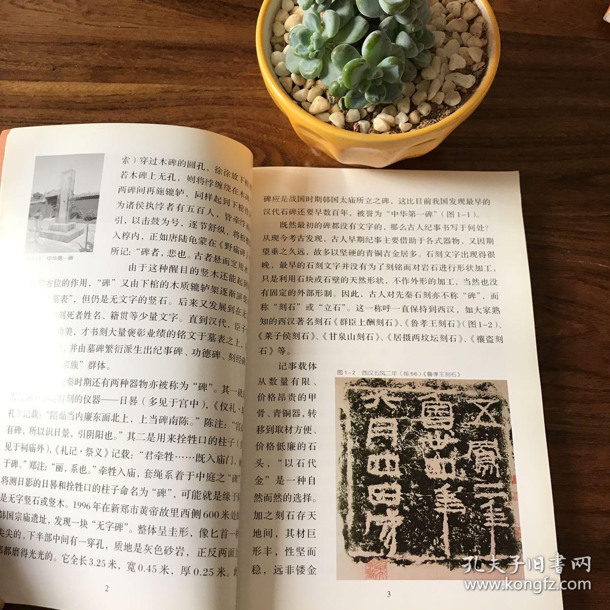 碑学10讲——中国书法经典名家讲座丛书