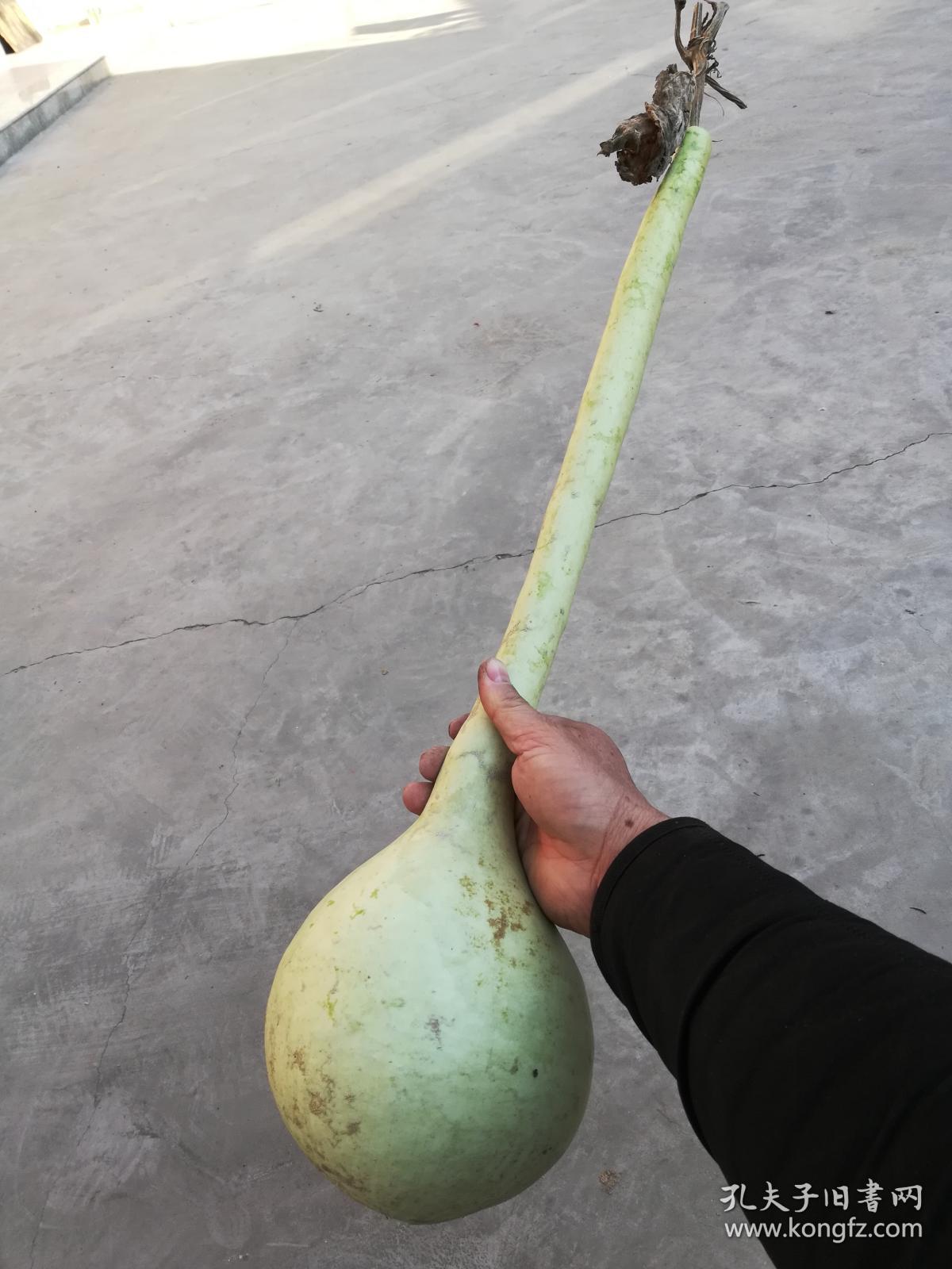 文玩葫芦长柄葫芦长约70厘米葫芦里有种子