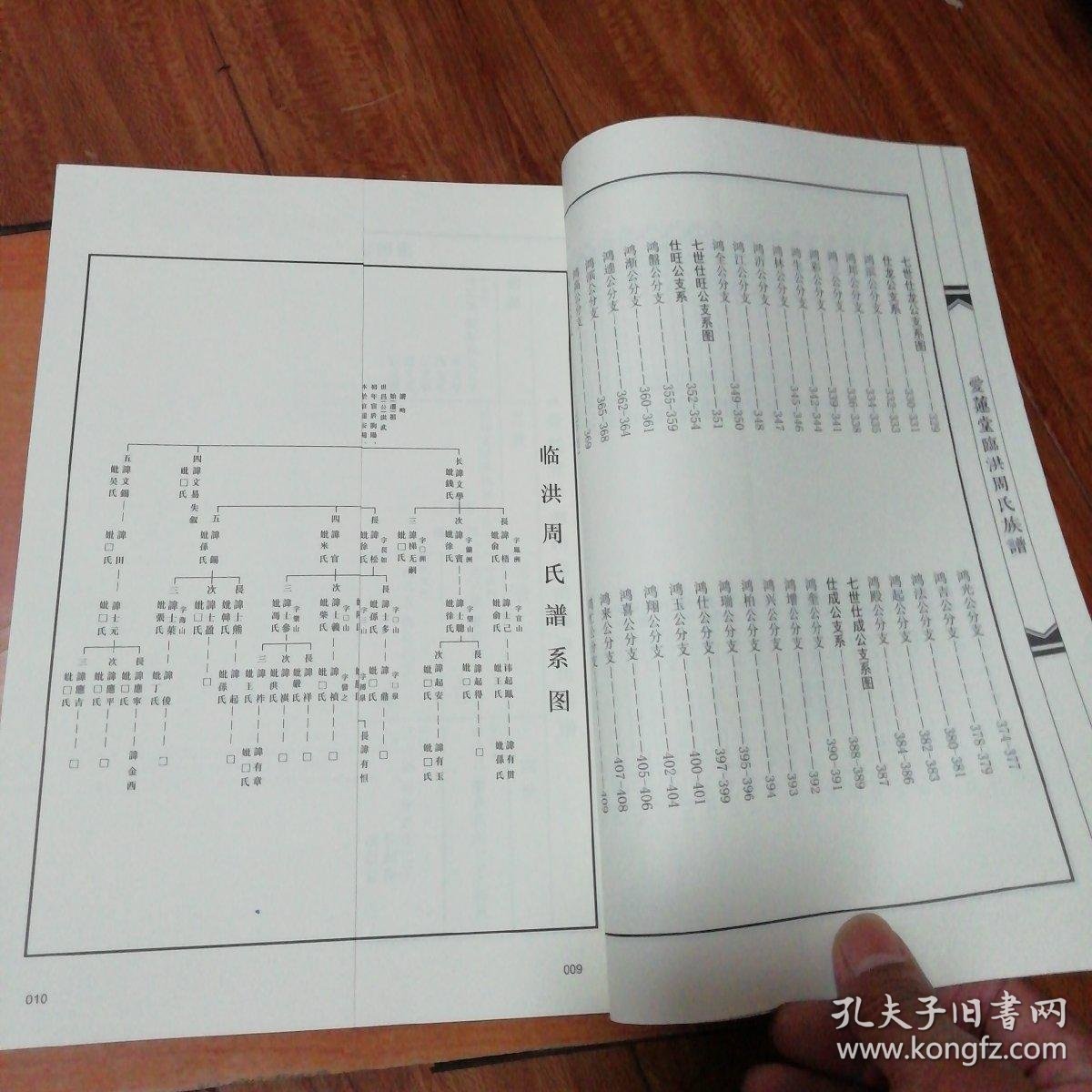 爱莲堂临洪周氏族谱 ( a区)_江苏省连云港海州临洪滩_孔夫子旧书网