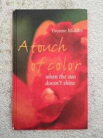yvonne mulder a touch of color  when the sun doesn't shine