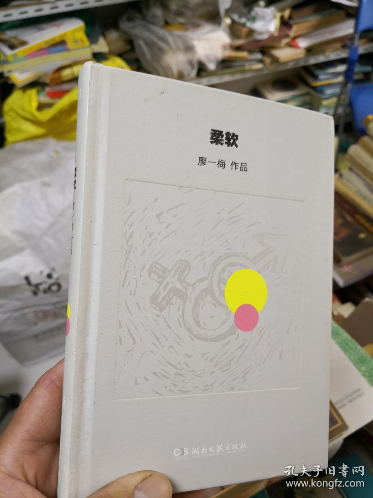 00 认证卖家担保交易快速发货售后保障 作者廖一梅 出版社湖南文艺