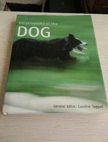 Encyclopedia of the Dog（精装16开英文原版）