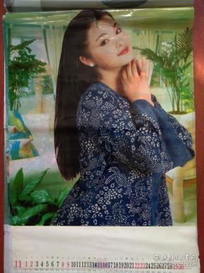 美女挂历11.陈丽峰,单张.对开大幅,塑膜