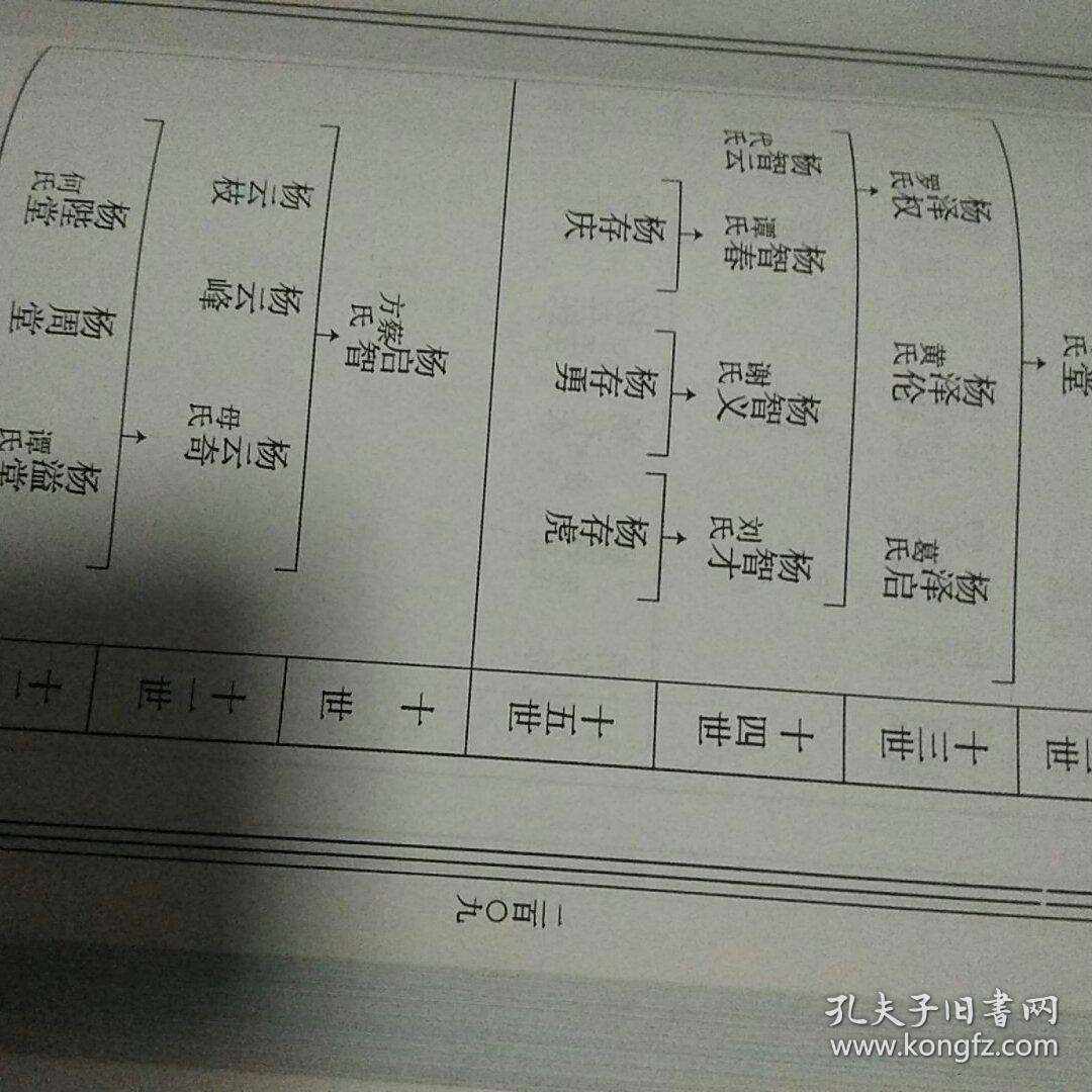 弘农郡谱(杨氏族谱)