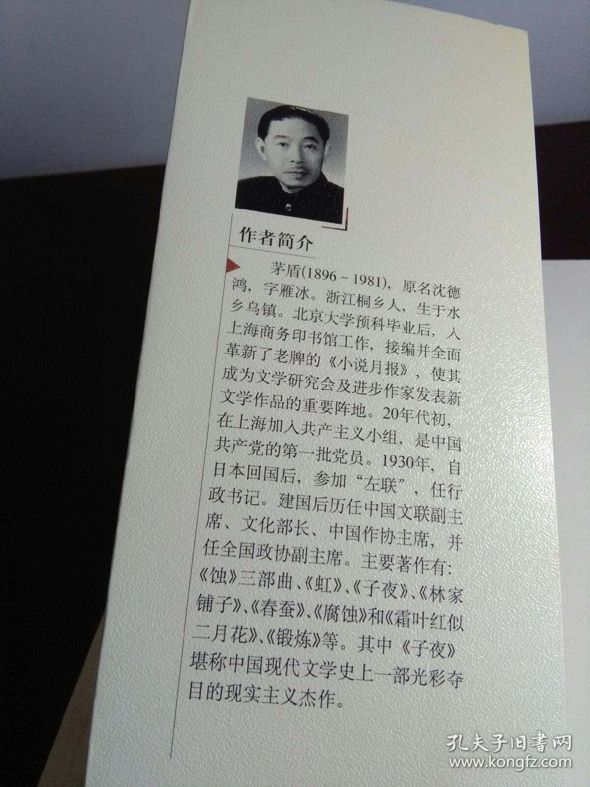 茅盾代表作:林家铺子 下