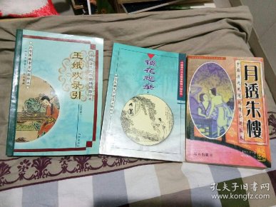 月透朱楼,玉娥欢录引,锁花怨录,_玉楼东隐士,银字道理,烟水散人_孔