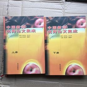 中国教师优秀论文集成 上下册 精装。J技大-5