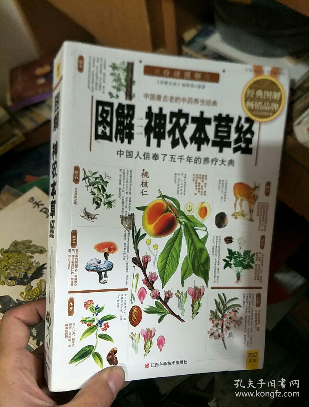图解神农本草经