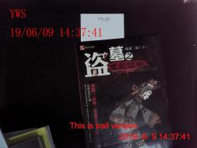 盗墓之蛊爱诏书