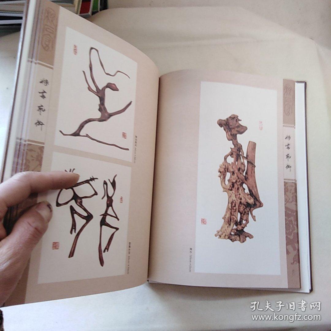 根书艺术——杨玉冰根书法集