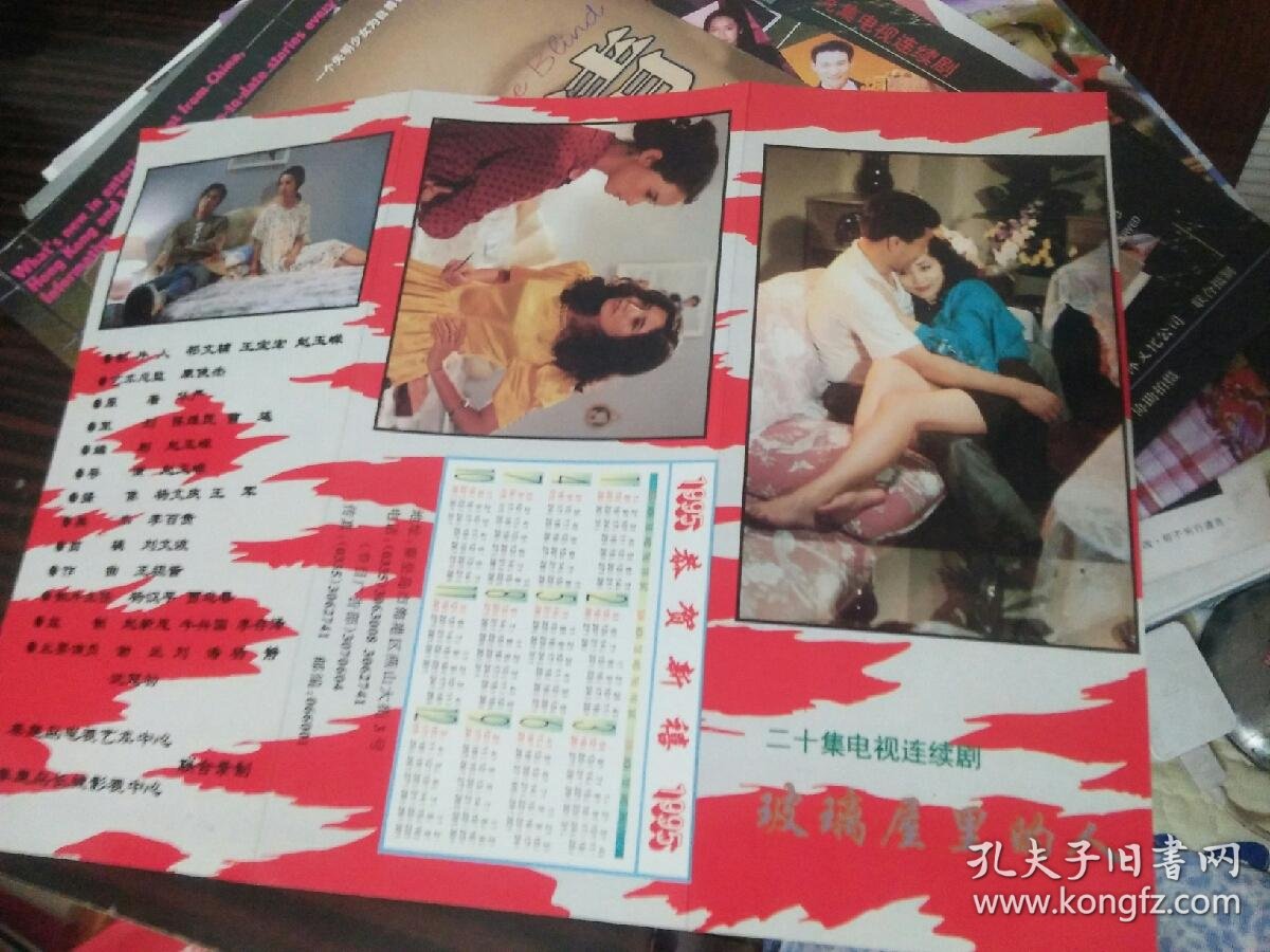 电视剧宣传画册 玻璃屋里的人