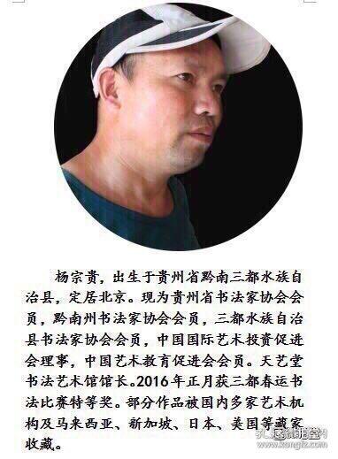 杨宗贵书法作品