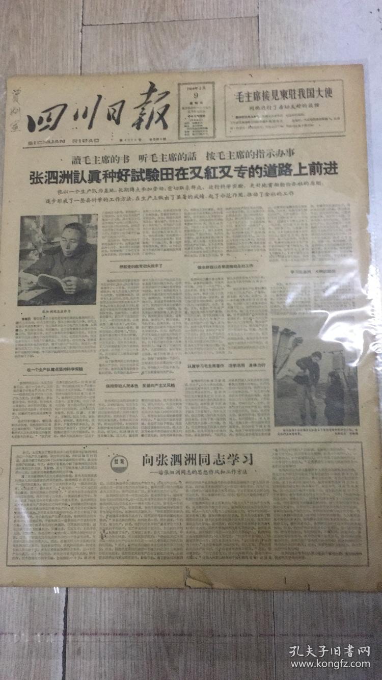 四川日报1964年2月9日张泗洲认真种好试验田在又红又专的道路上前进